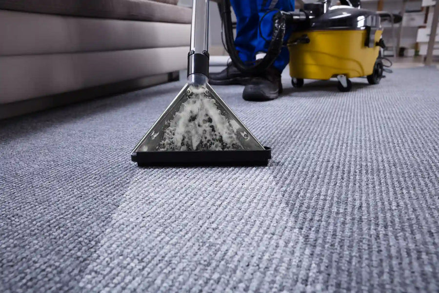 Carpet Cleaning